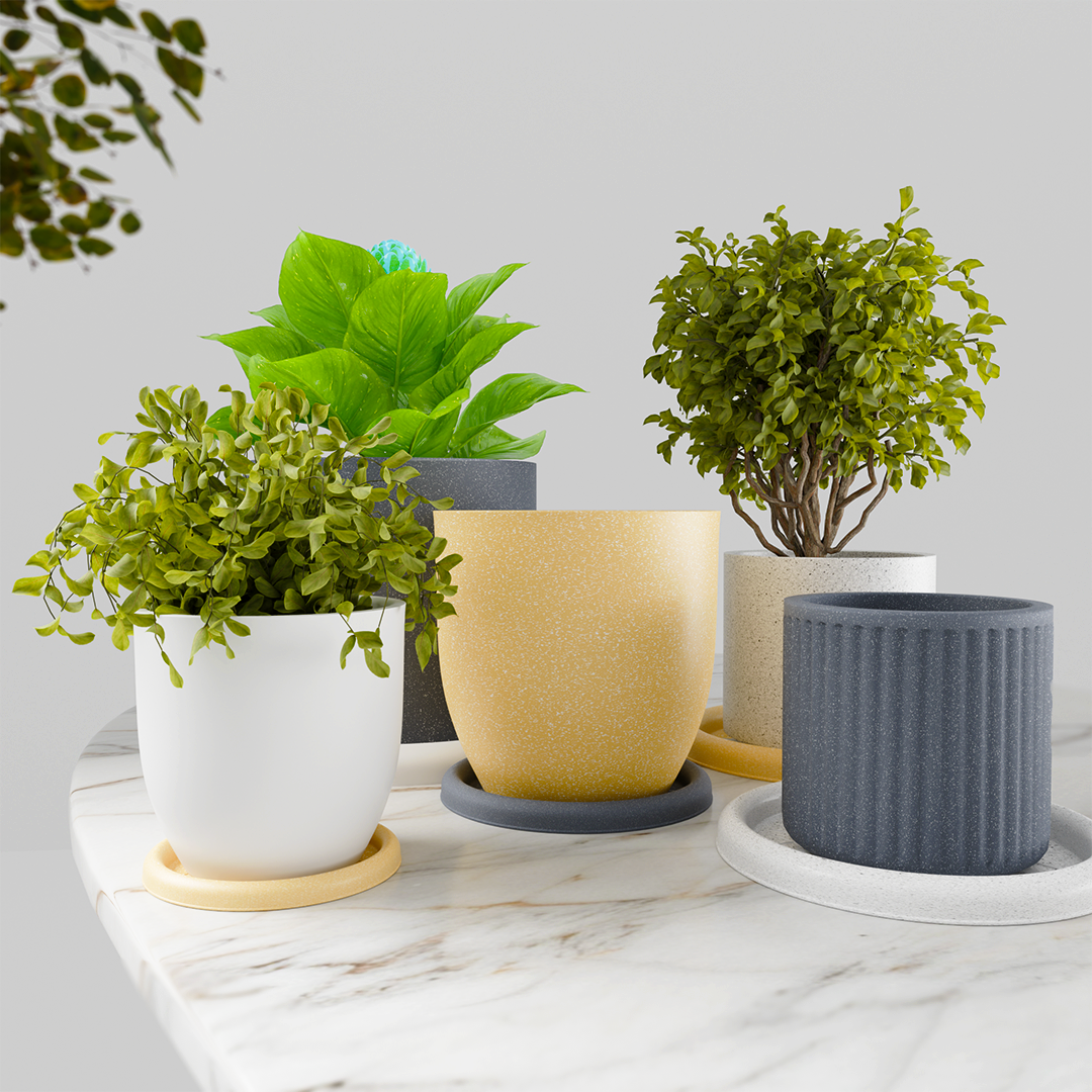 Plastic v/s Ceramic Planters