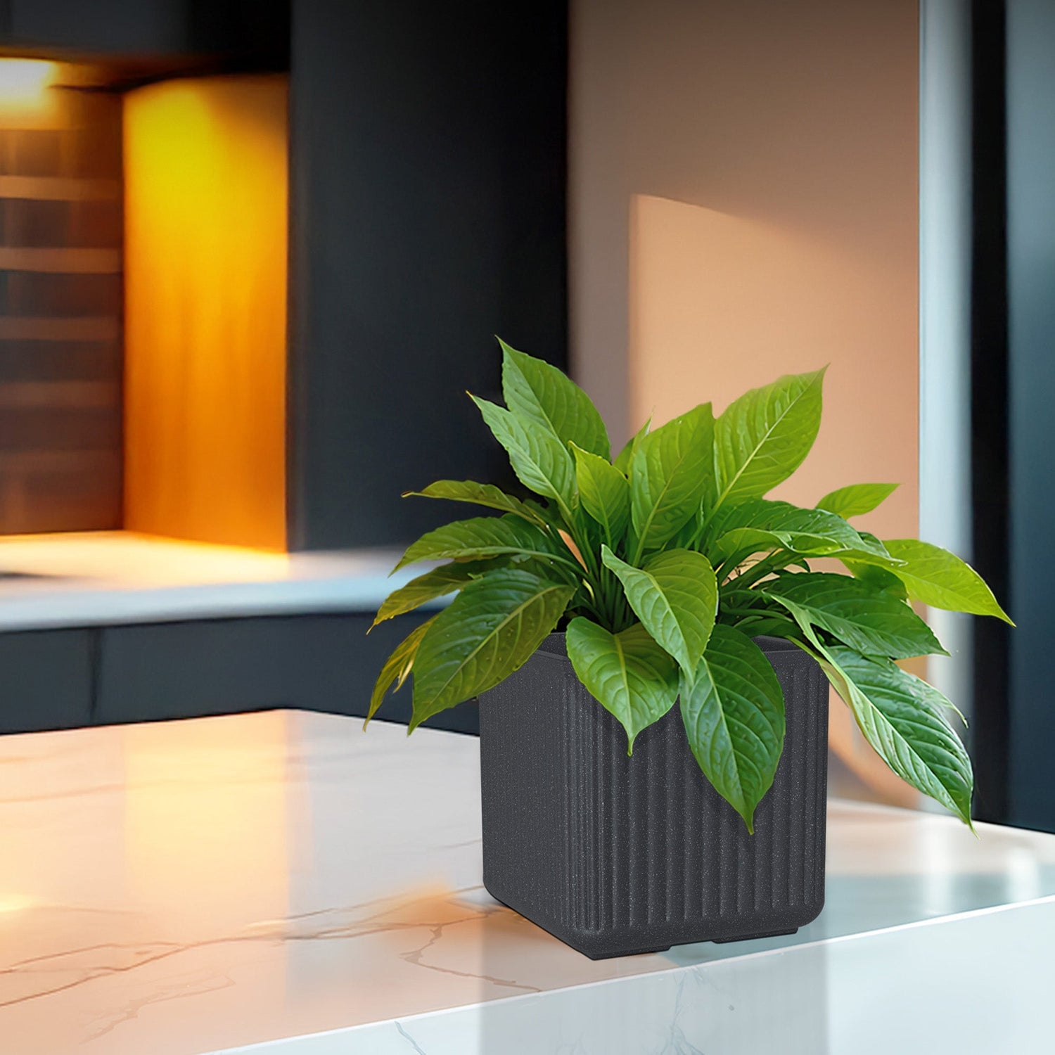 The Secret to Growing Plants Indoors Successfully