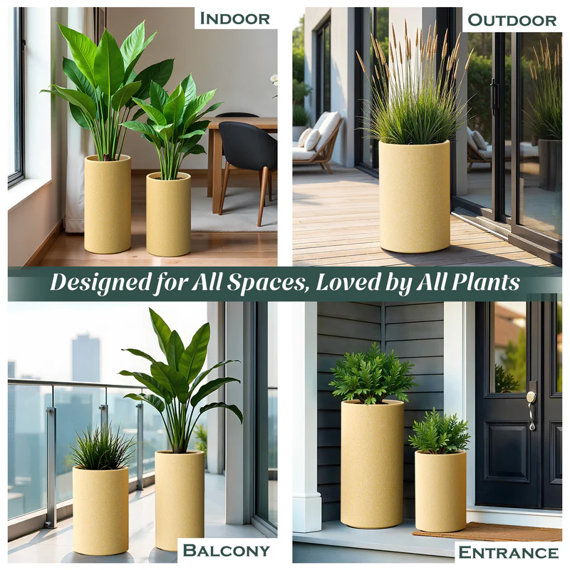 How to Keep Your Plants Healthy