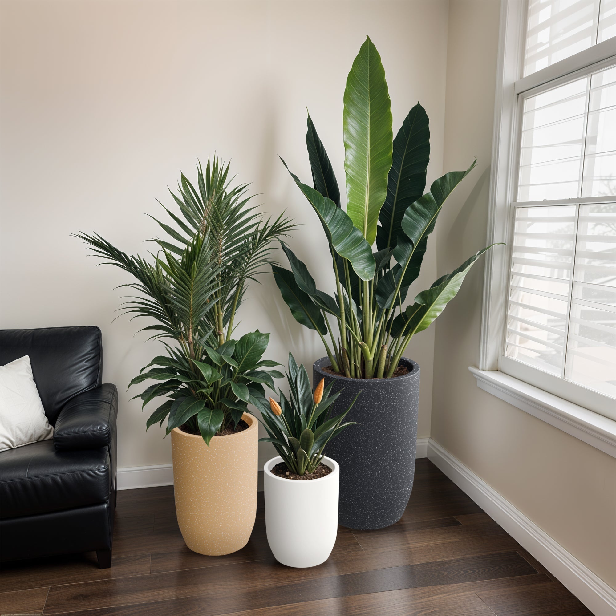 Lightweight Planters Are Best for Modern Homes