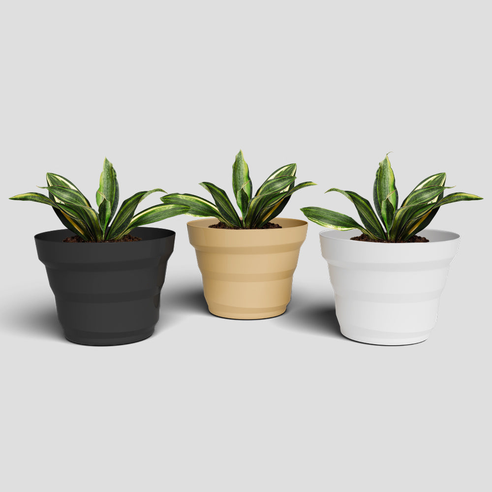 SHERA | RING PLANTER