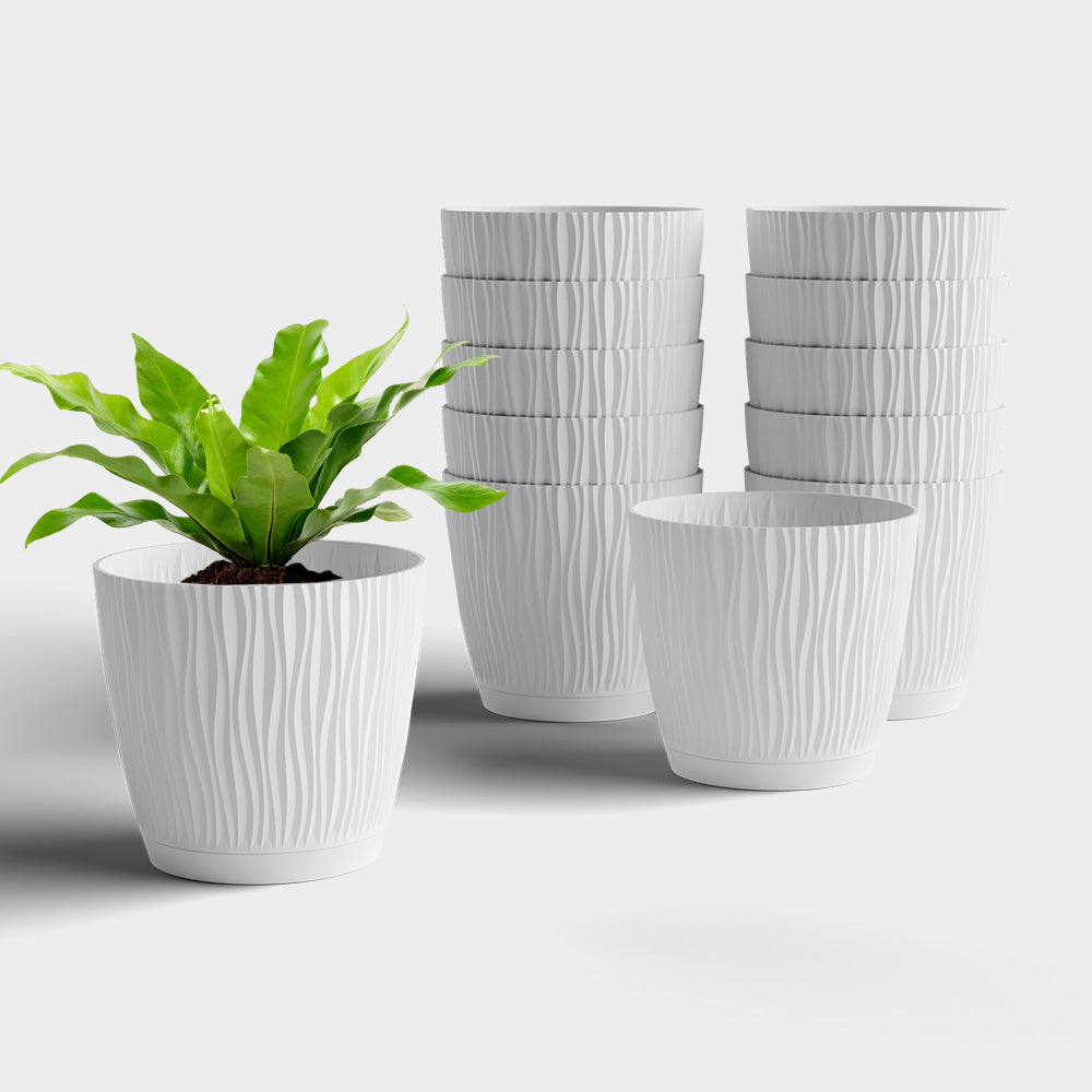 SHERA | EVA PLANTER