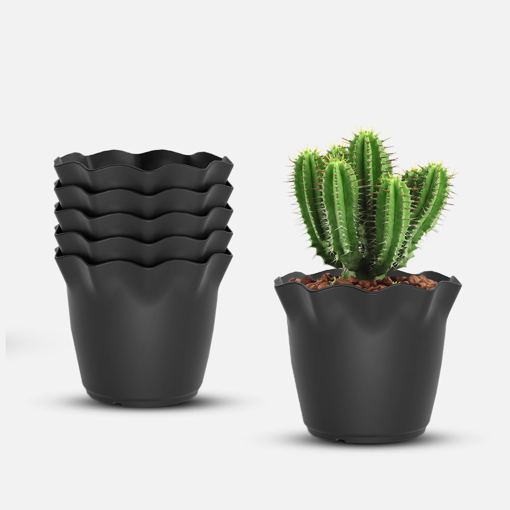 SHERA | FLOWER PLANTER