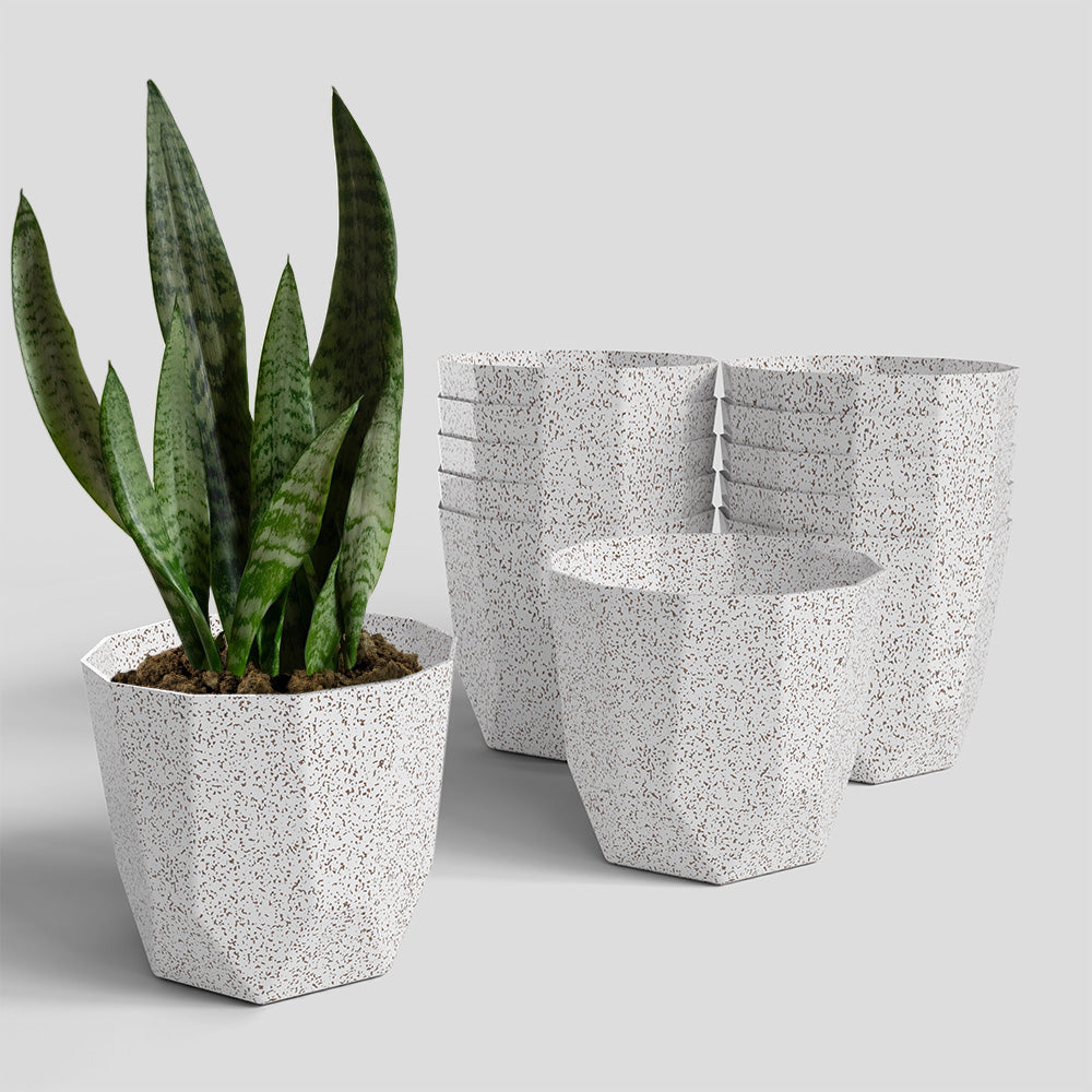 SHERA | HEXA BIO PLANTER