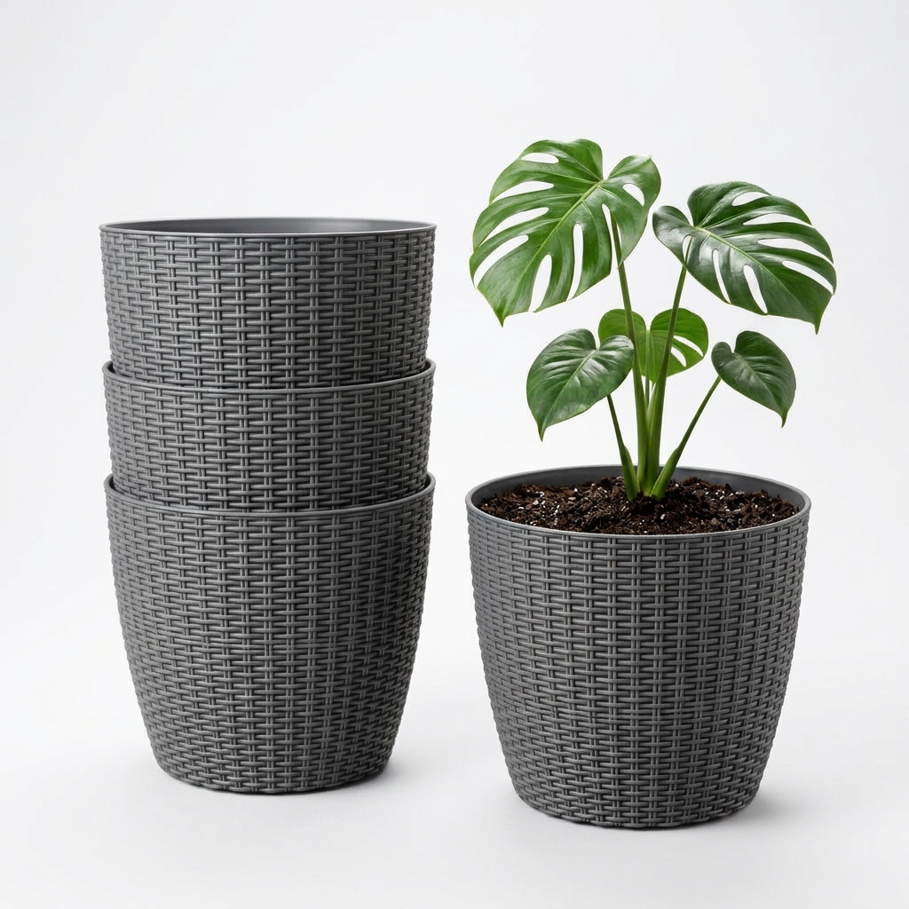 SHERA | STELLA R PLANTER