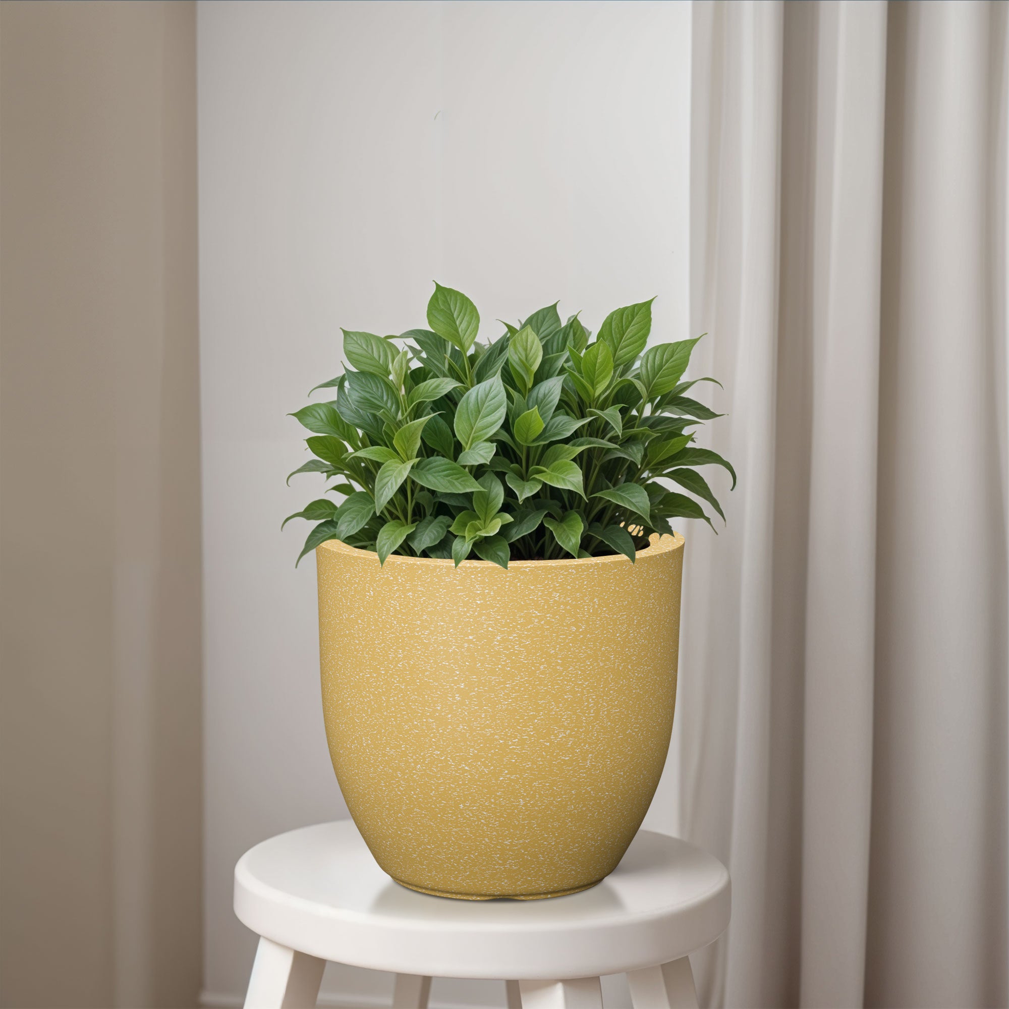 FOX B | P CUP PLANTER