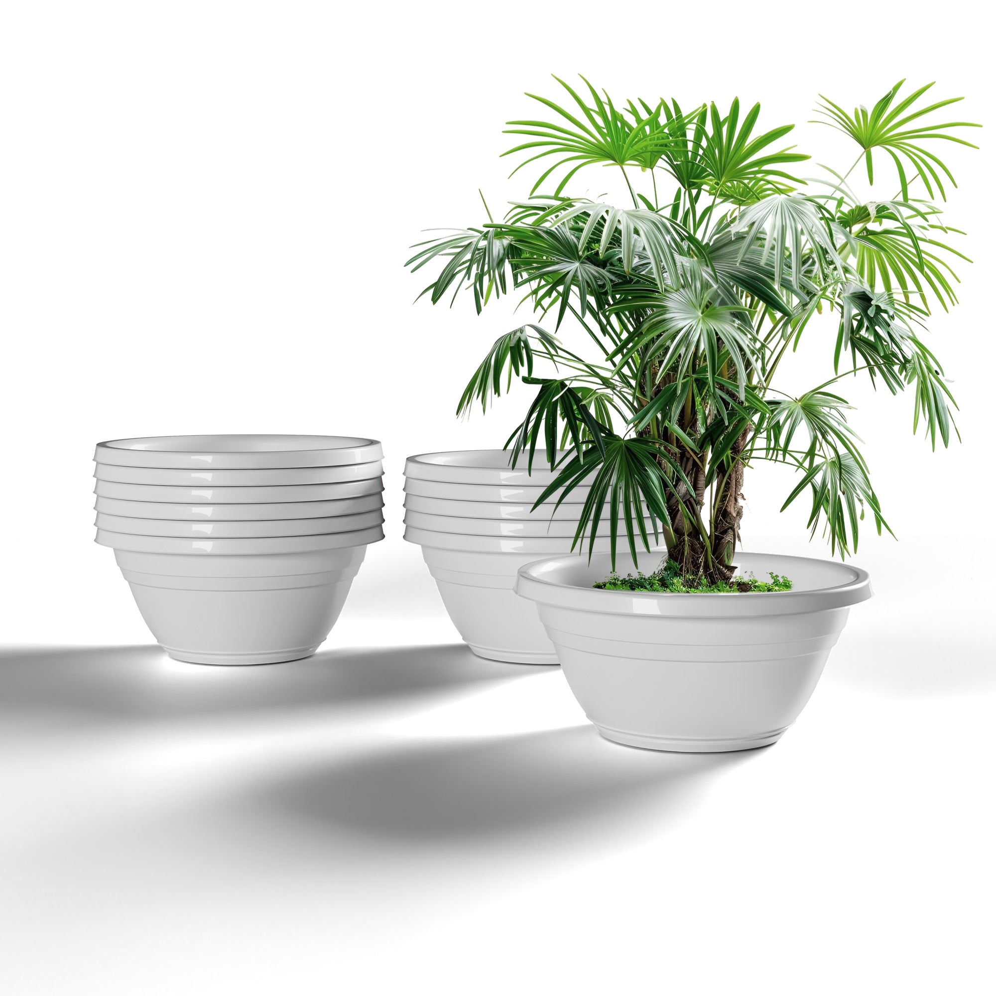SHERA | BOTANICA BONSAI KTR PLANTER
