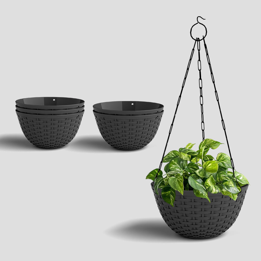 SHERA | CHICK HANGING