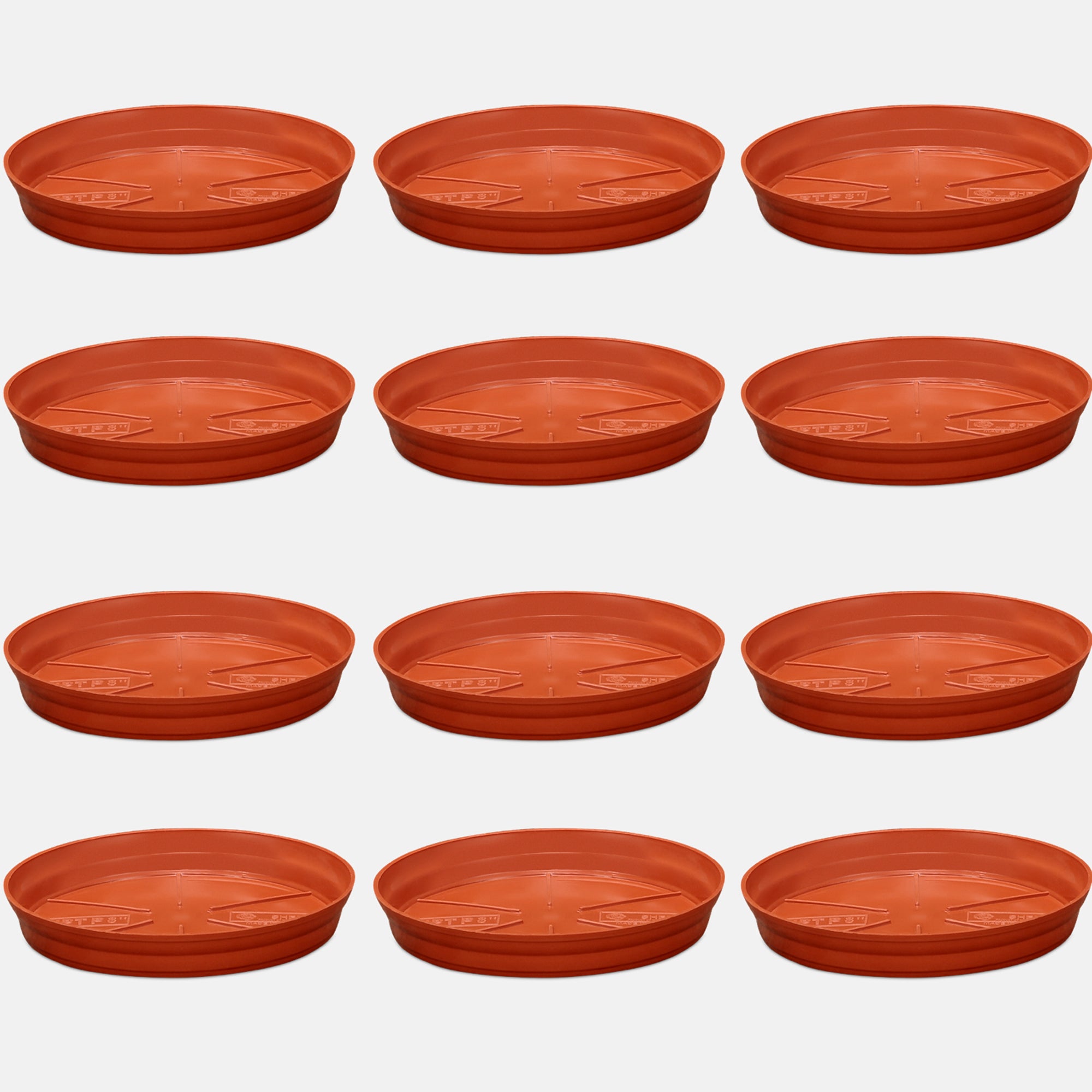 Terracotta / 12 / 12