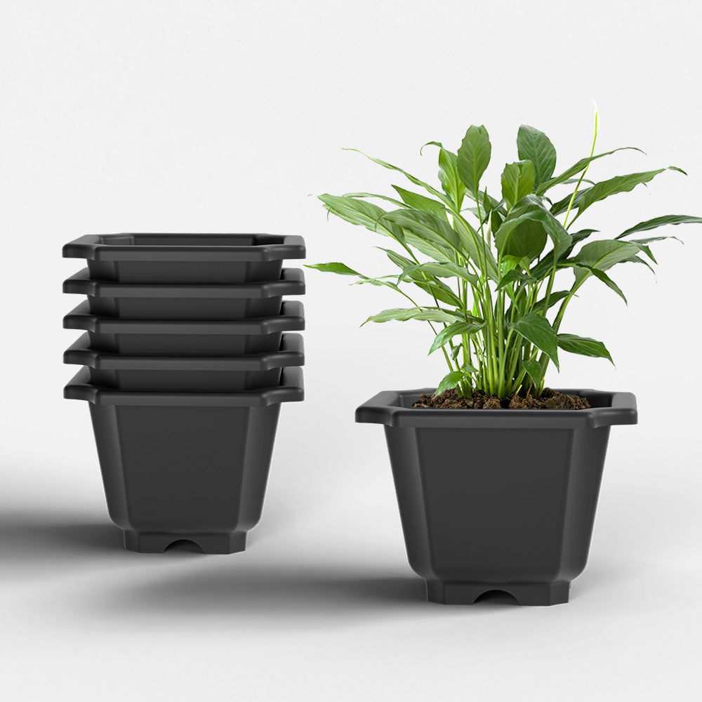 SHERA | OCTA PLANTER SET OF 6