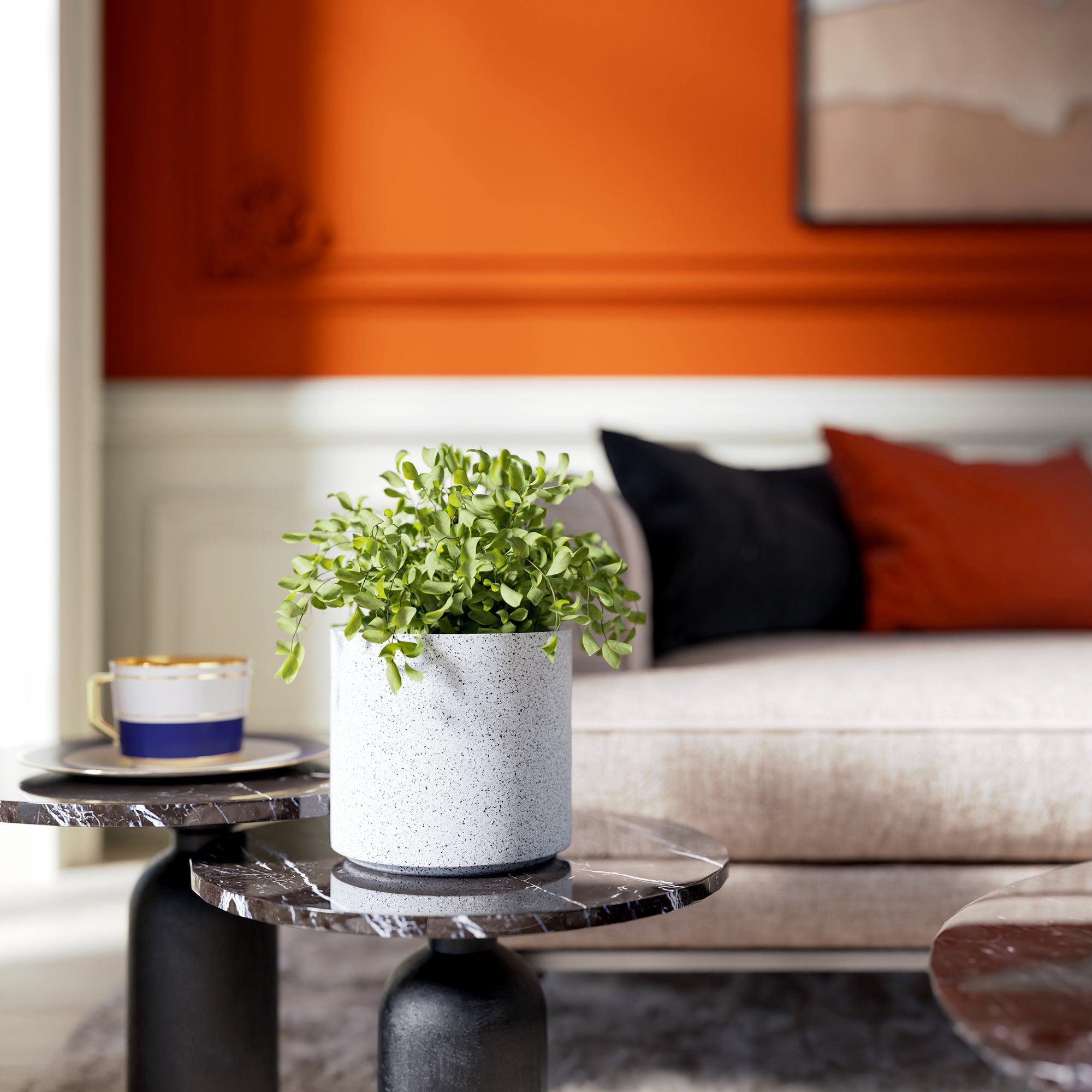 FOX B | CILIN PLANTER