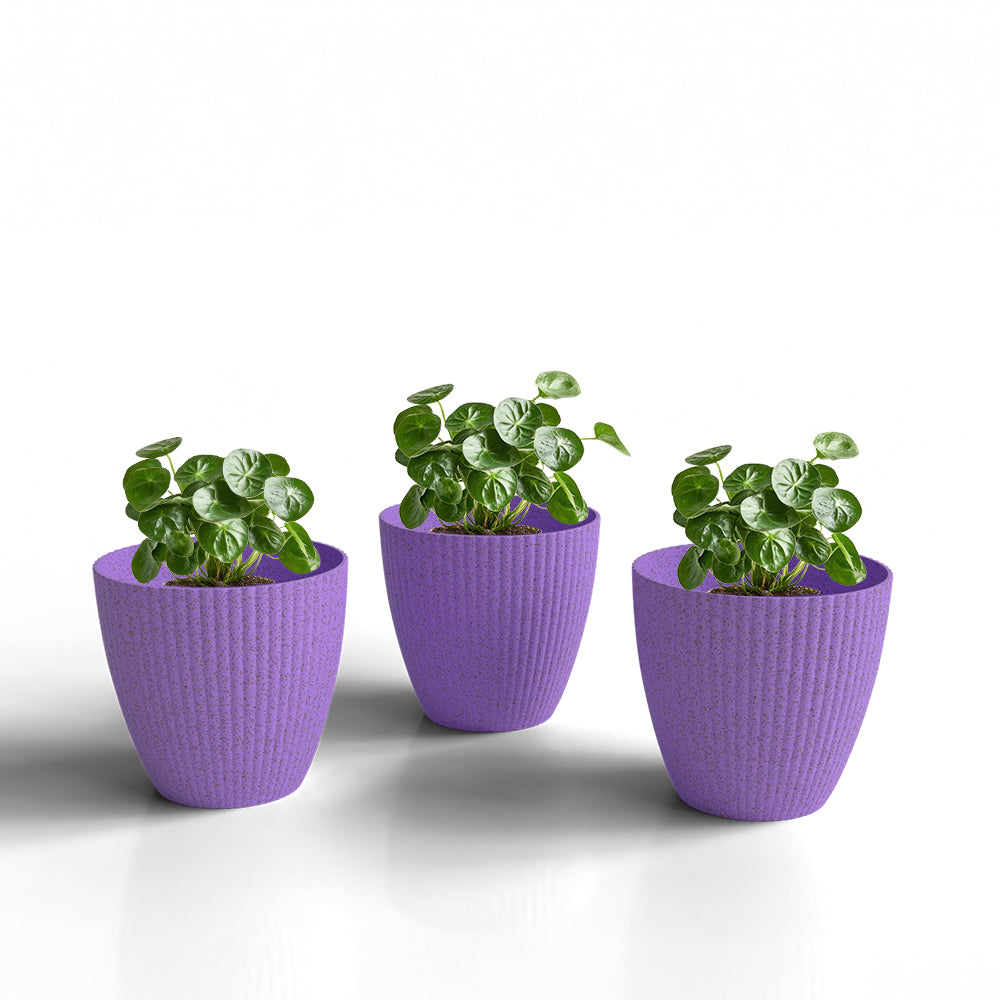 SHERA | LOTUS BIO PLANTER