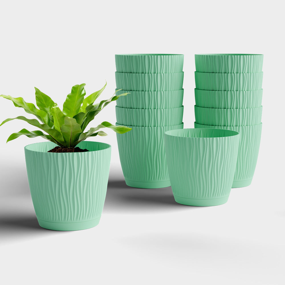 SHERA | EVA PLANTER