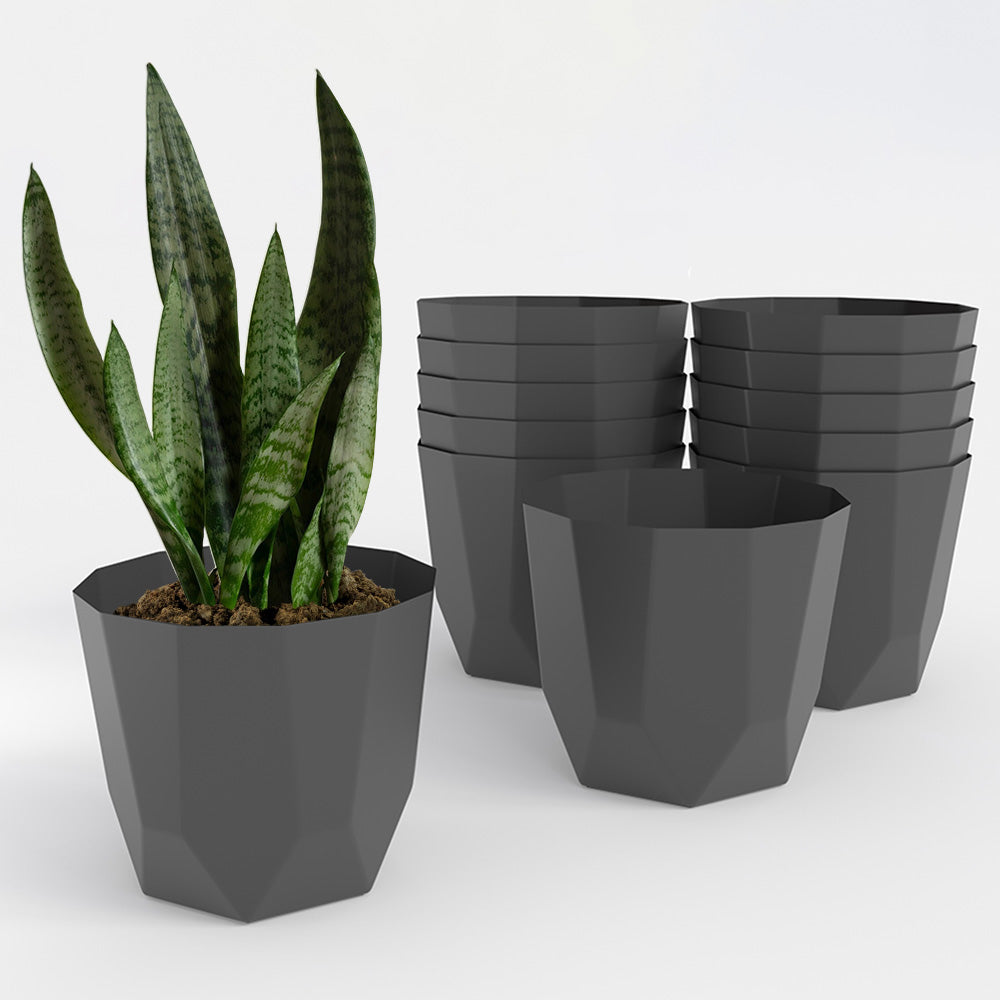SHERA | HEXA PLANTER