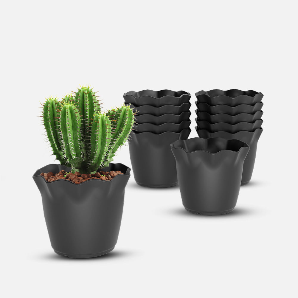 SHERA | FLOWER PLANTER