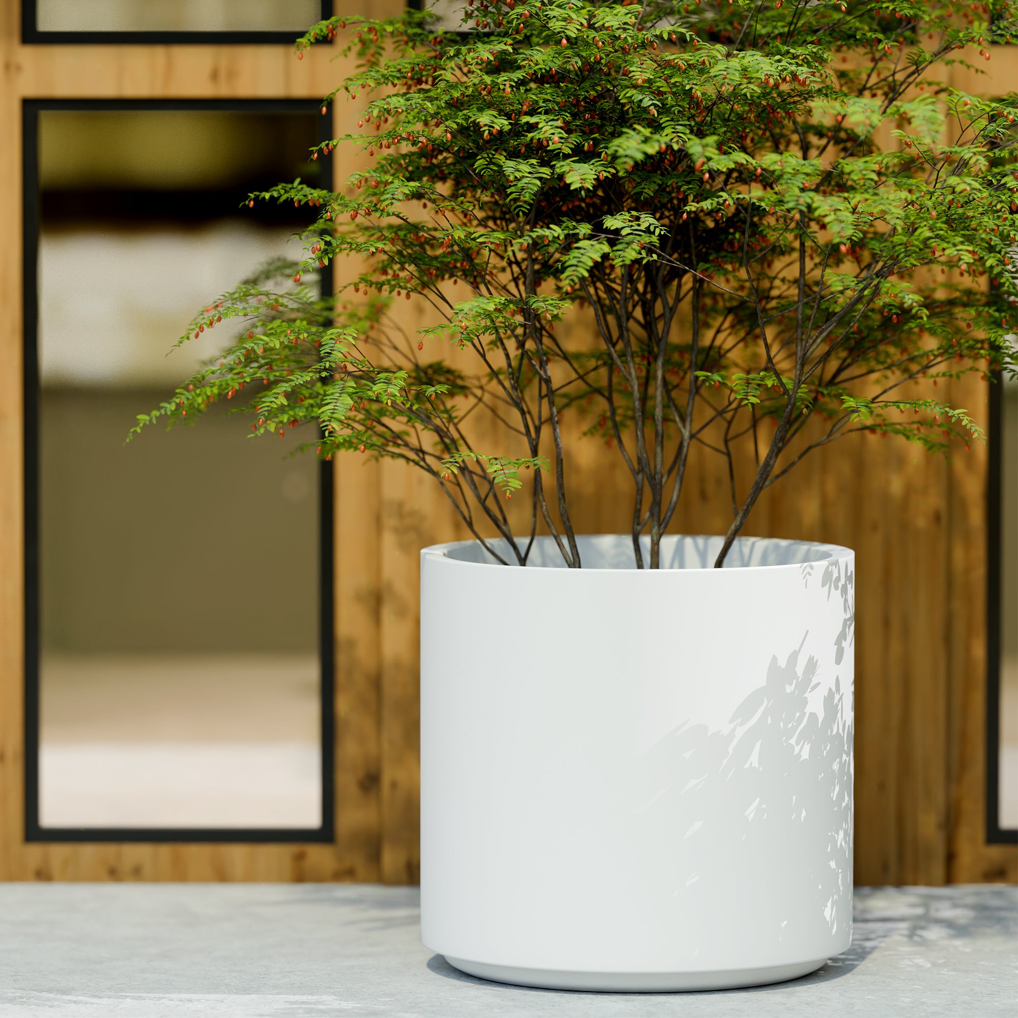 FOX B | CILIN PLANTER