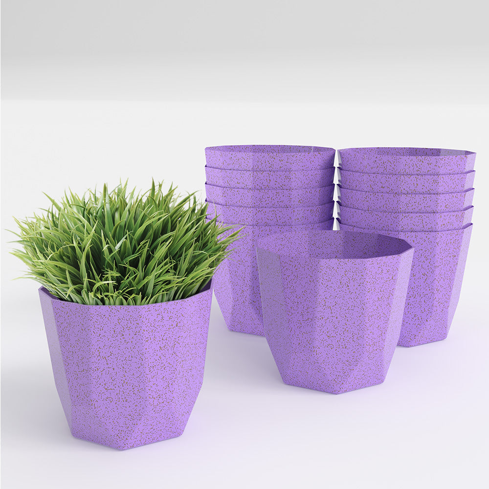 SHERA | HEXA BIO PLANTER