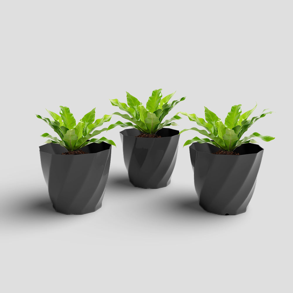 SHERA | SWIRL PLANTER