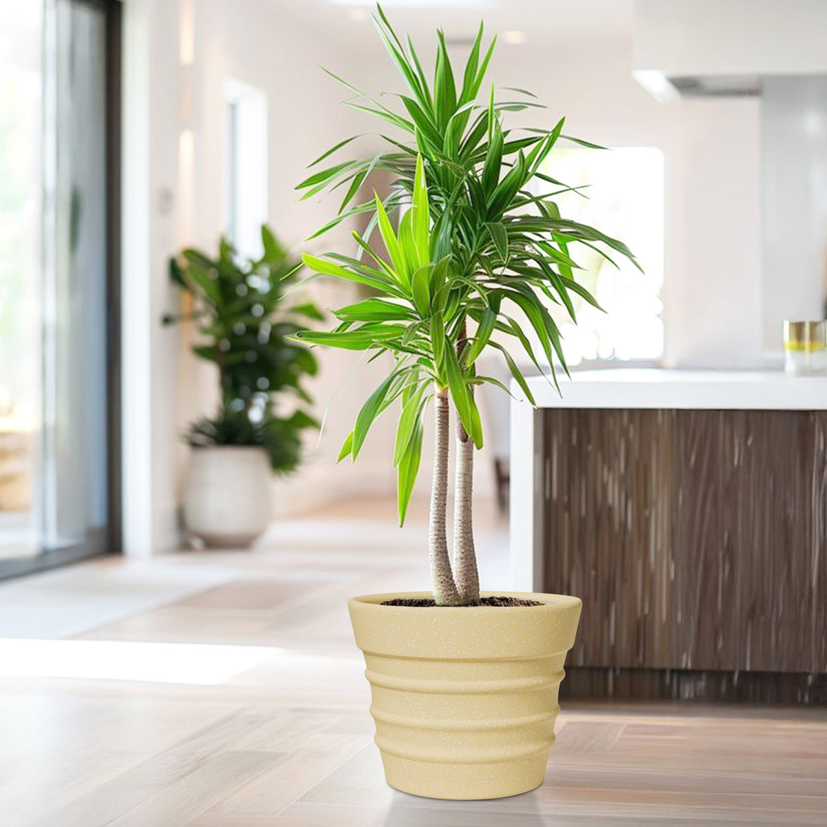FOX B | BR PLANTER