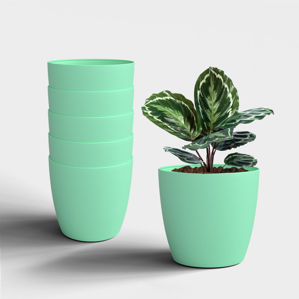 SHERA | STELLA PLANTER