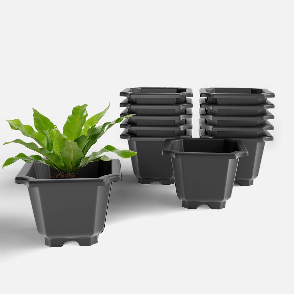 SHERA | OCTA PLANTER SET OF 12