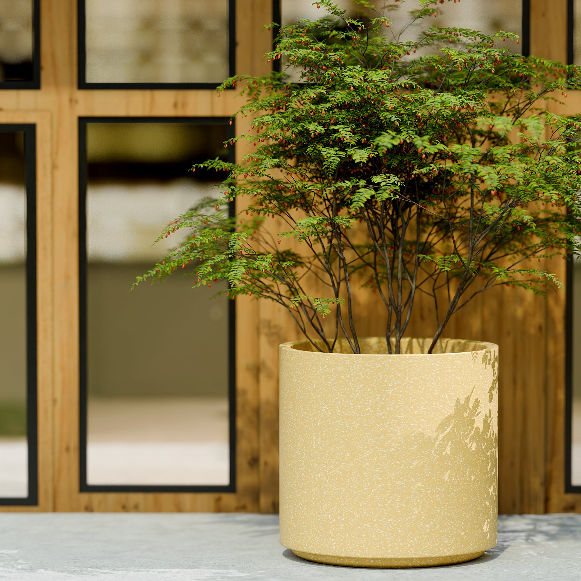 FOX B | CILIN PLANTER