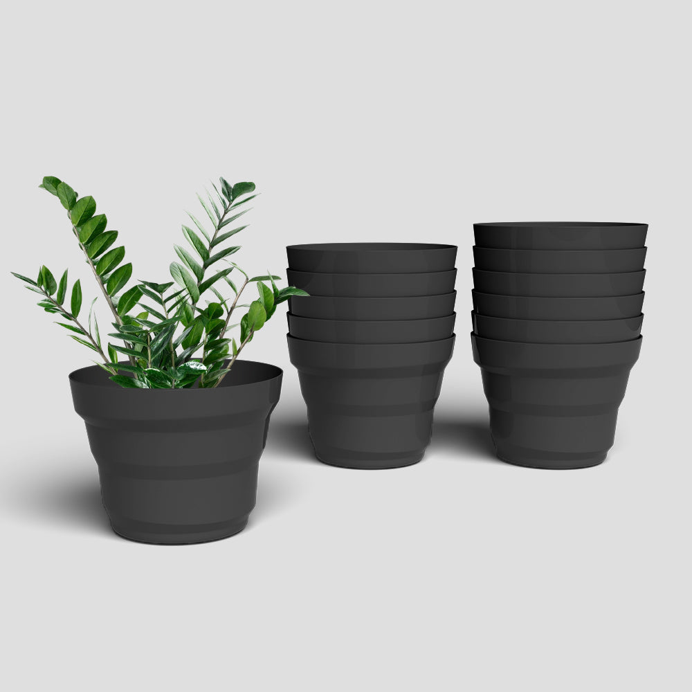 SHERA | RING PLANTER
