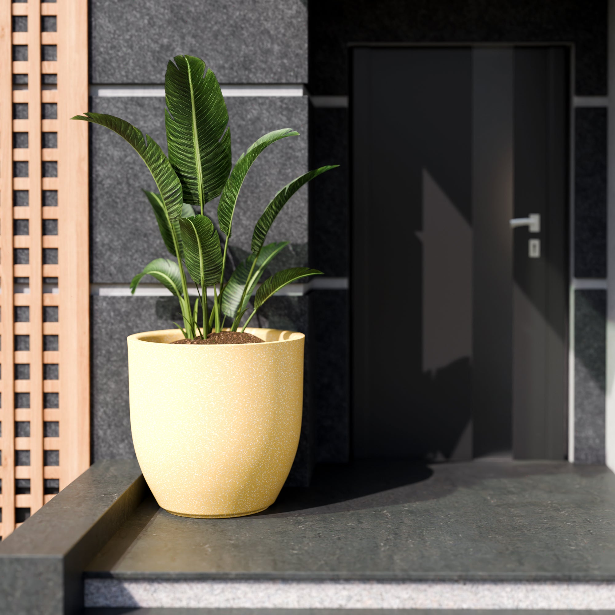 FOX B | P CUP PLANTER