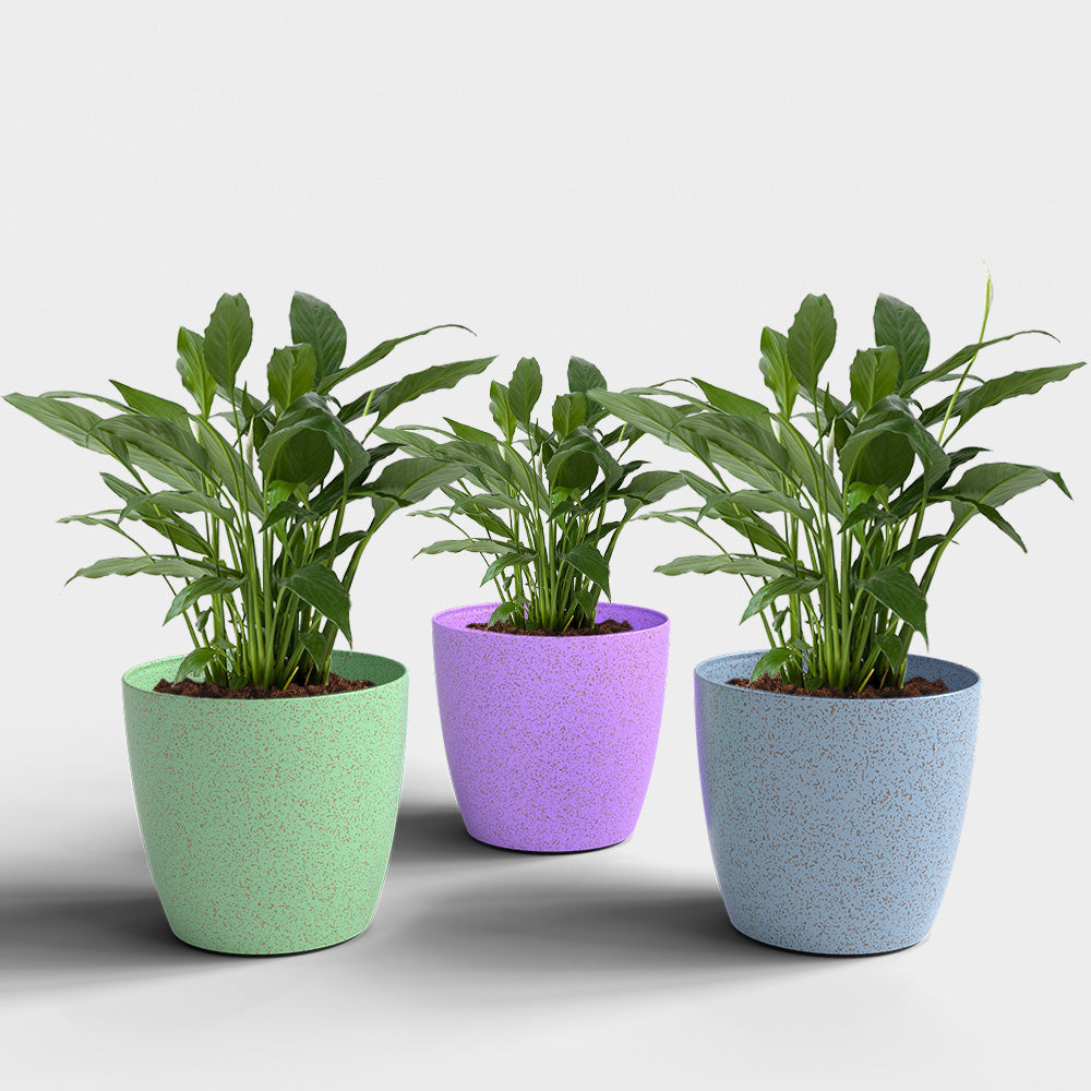 SHERA | STELLA BIO PLANTER