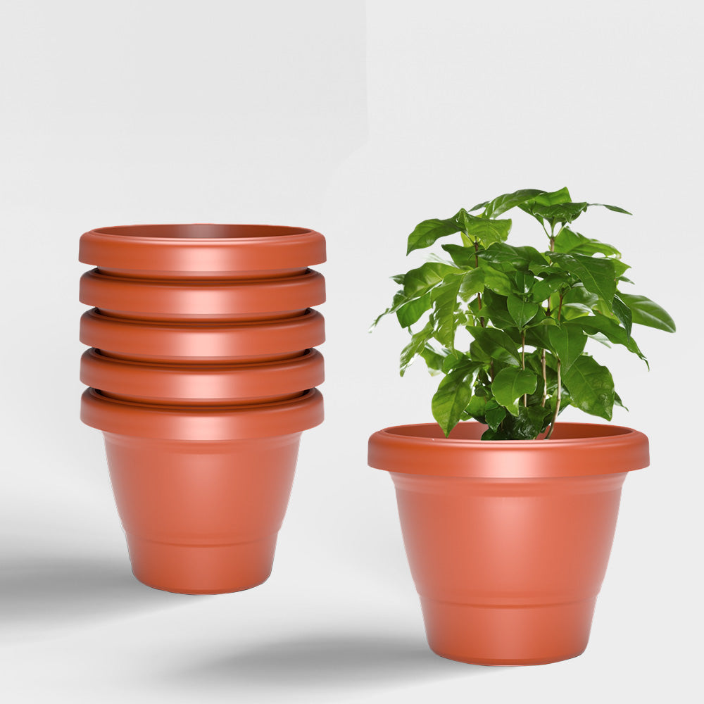 SHERA | SD PLANTER