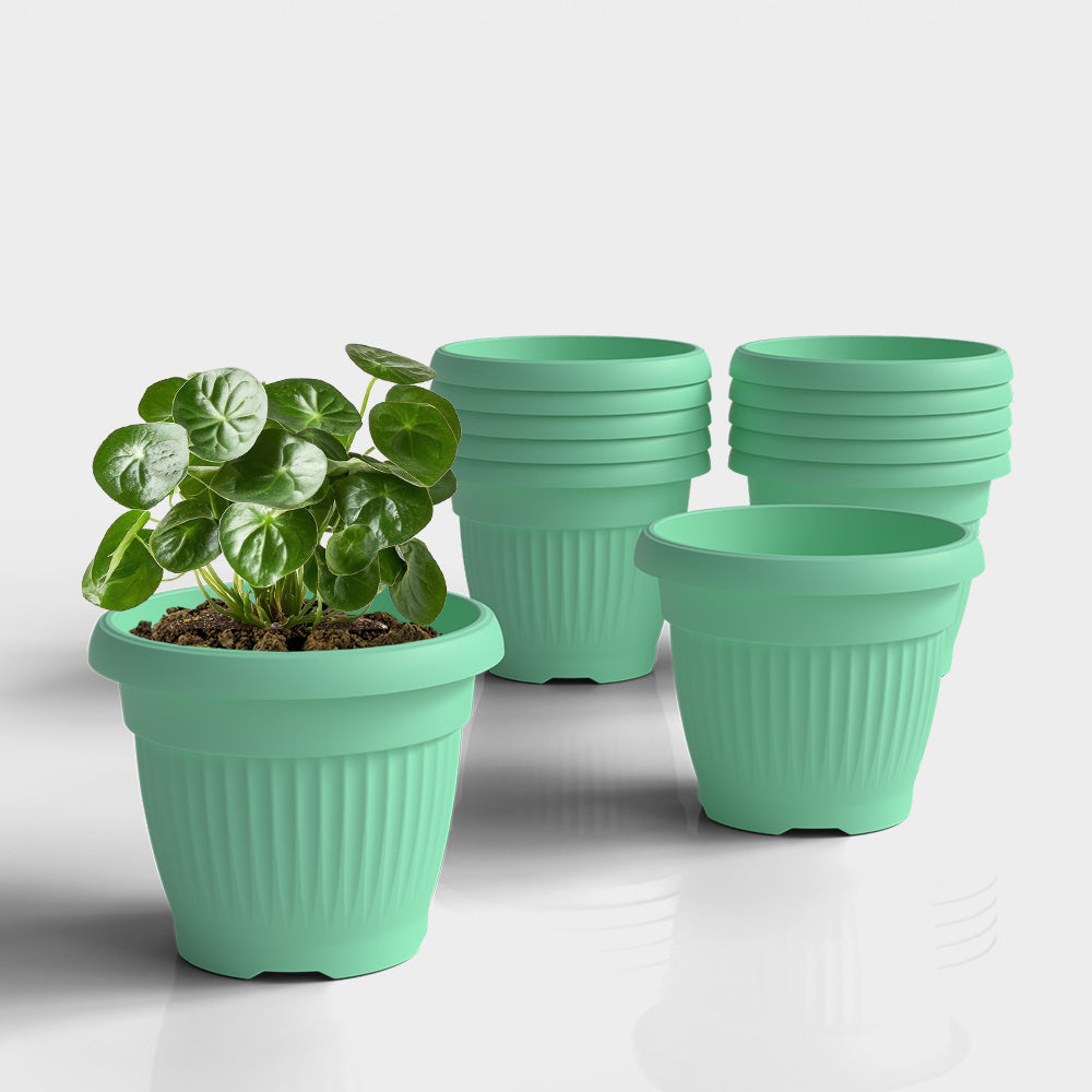 SHERA | BLOOM PLANTER