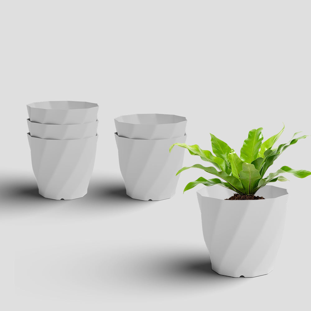 SHERA | SWIRL PLANTER