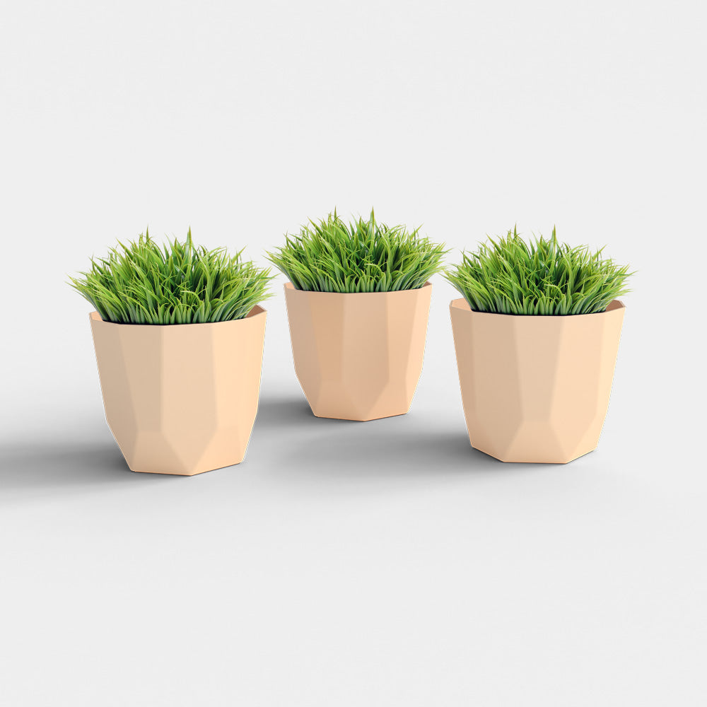 SHERA | HEXA PLANTER