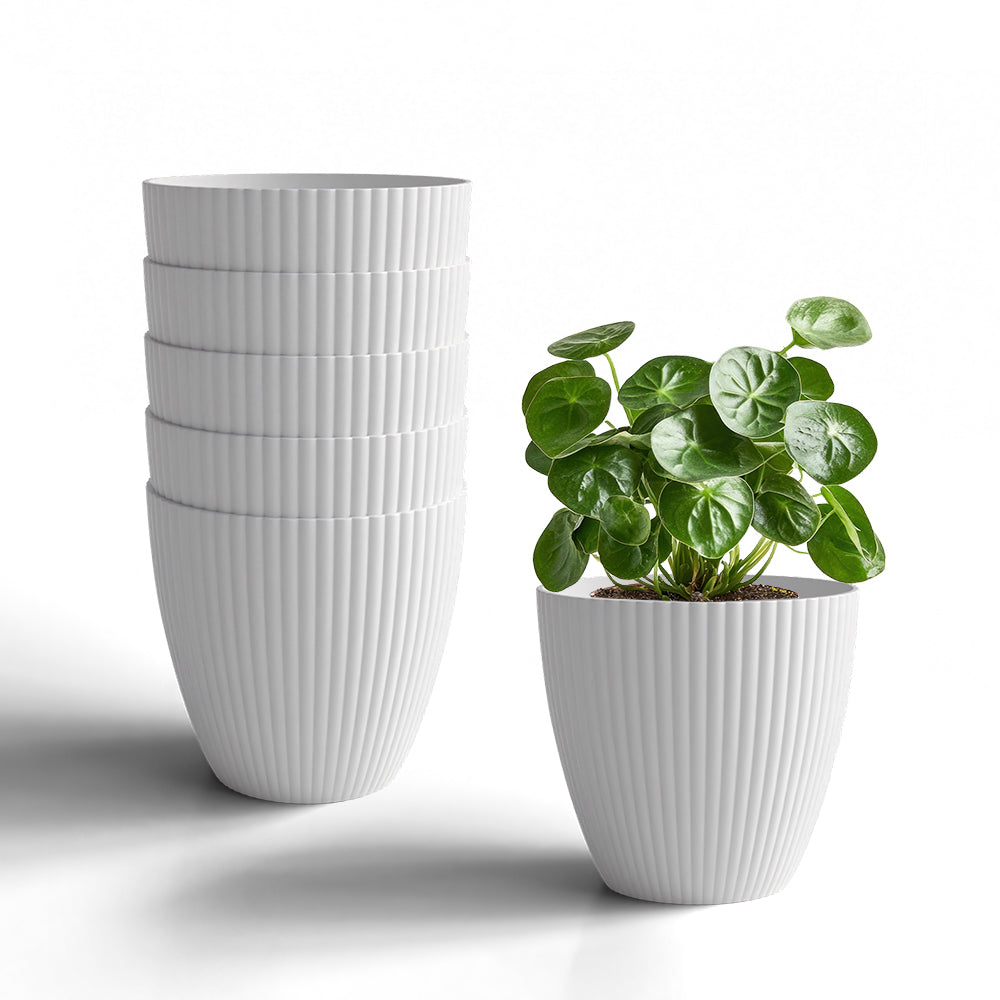 SHERA | LOTUS PLANTER