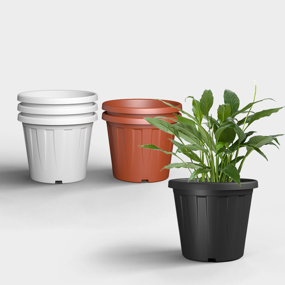 SHERA | CROWN PLANTER