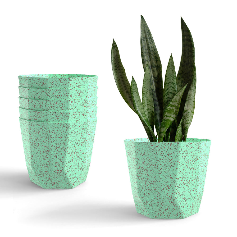 SHERA | HEXA BIO PLANTER