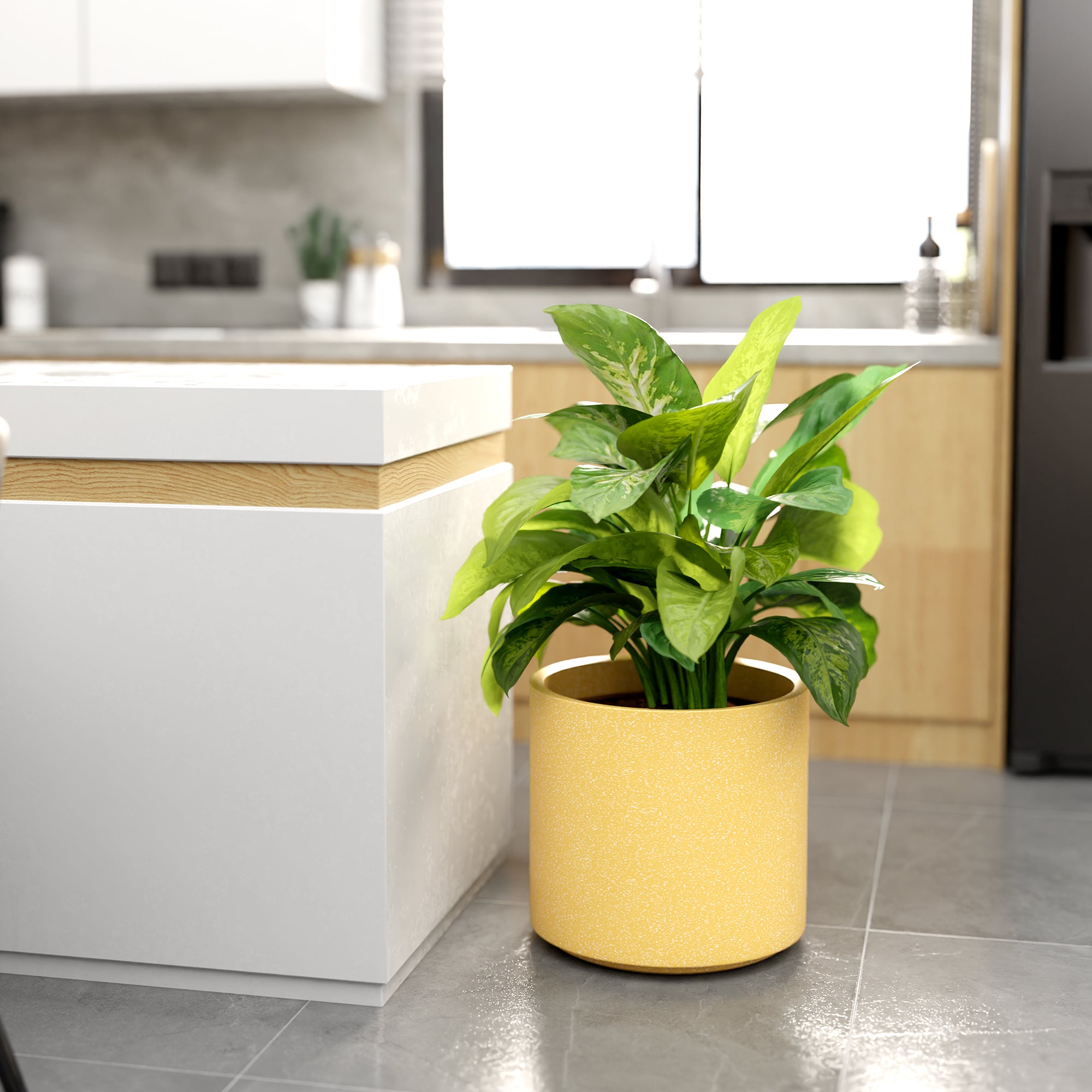 FOX B | CILIN PLANTER