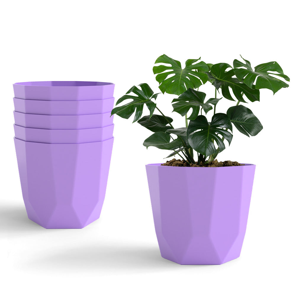 SHERA | HEXA PLANTER