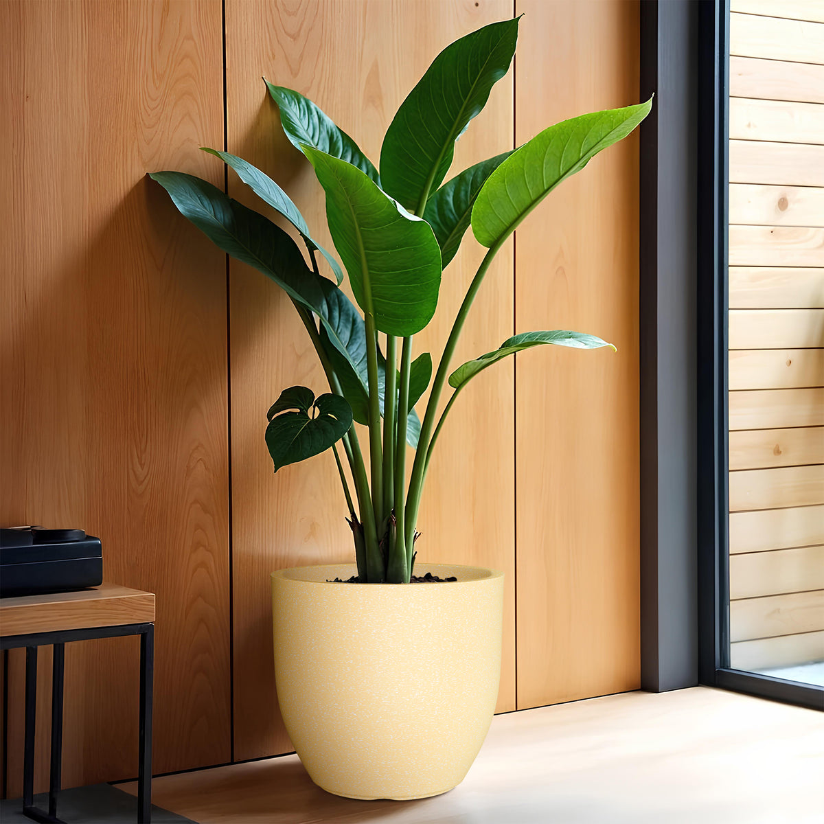 FOX B | P CUP PLANTER 6 INCH TO 15 INCH