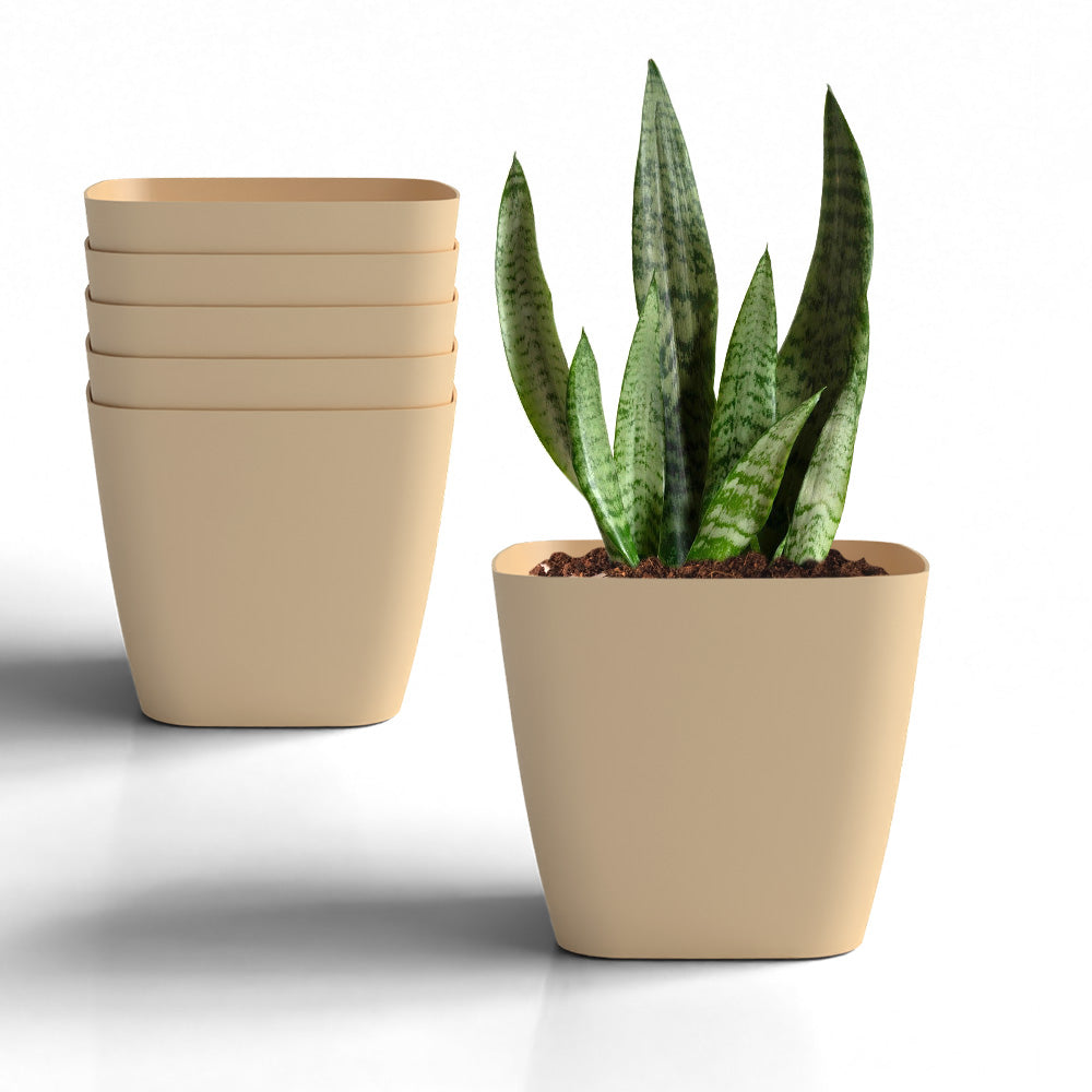 SHERA | STOIC PLANTER