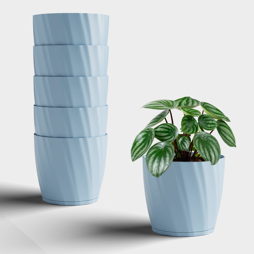 SHERA | ZINNIA PLANTER