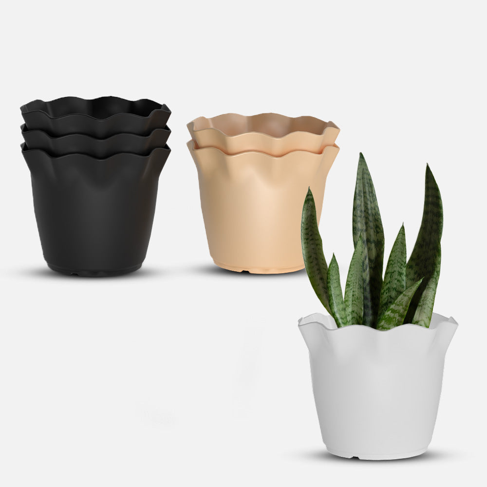 SHERA | FLOWER PLANTER