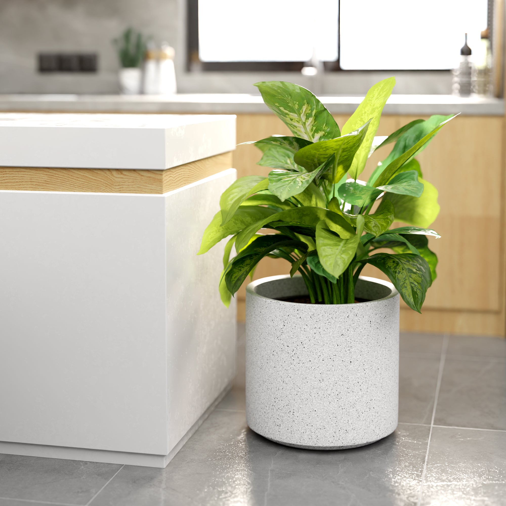 FOX B | CILIN PLANTER