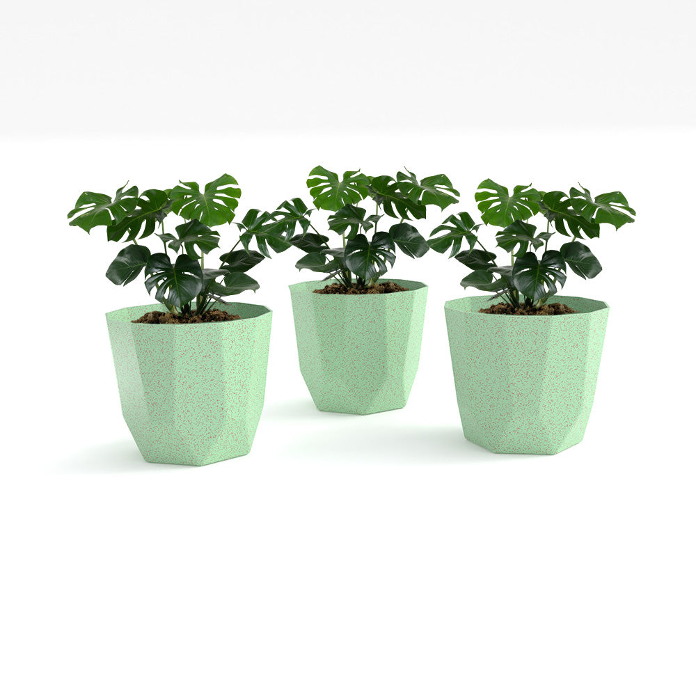 SHERA | HEXA BIO PLANTER