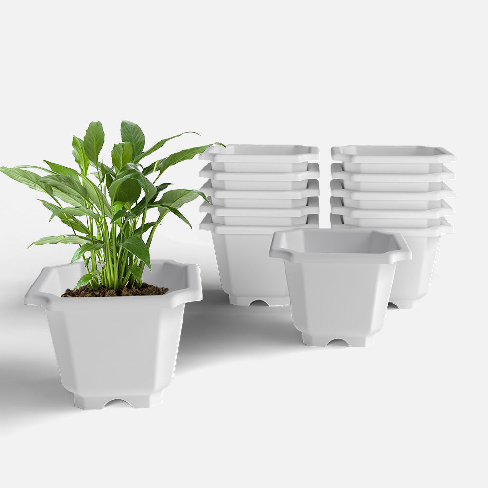 SHERA | OCTA PLANTER SET OF 12