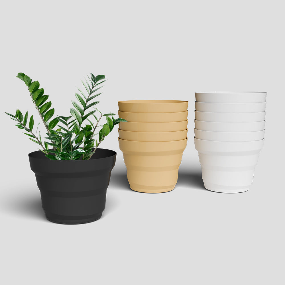 SHERA | RING PLANTER