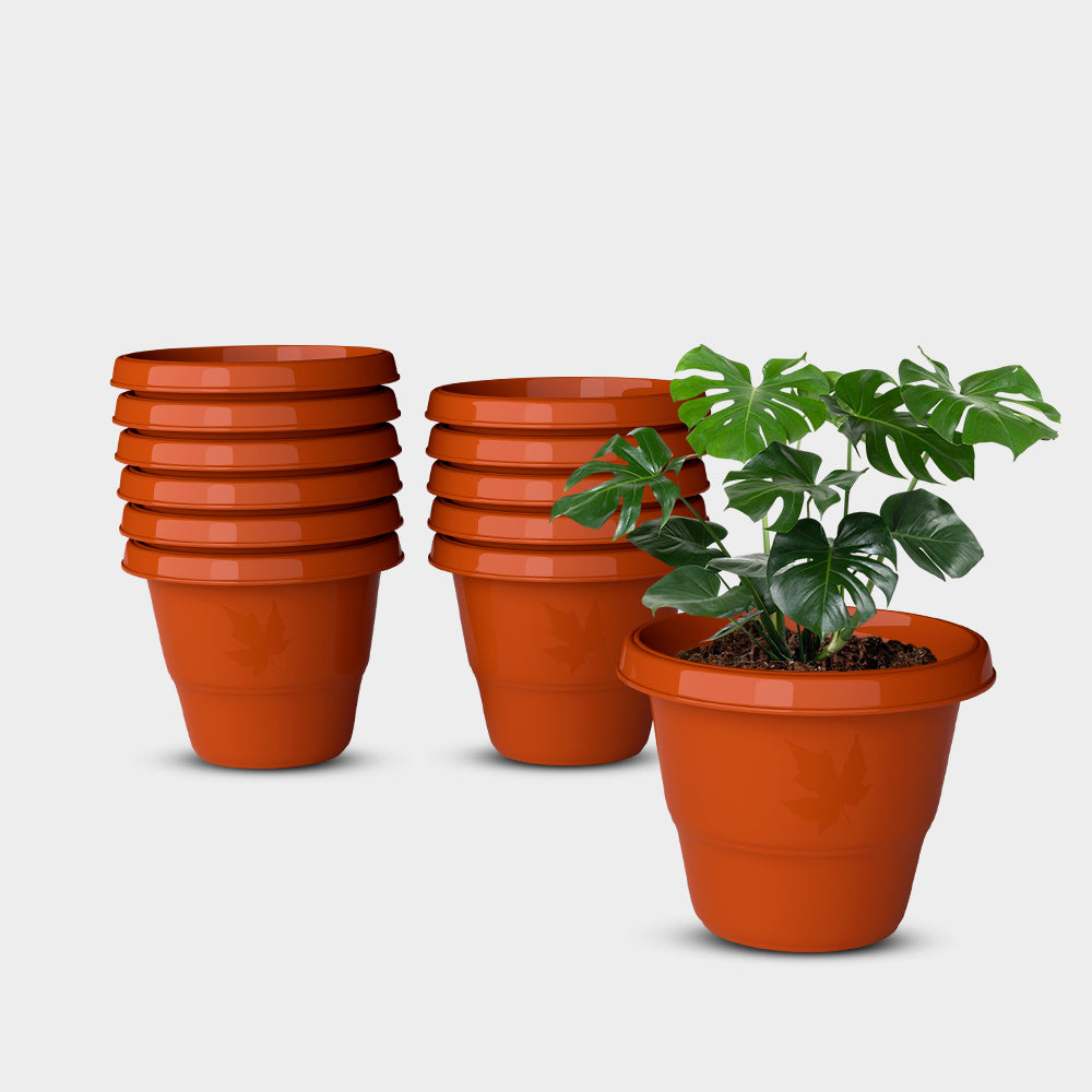 SHERA | RD PLANTER