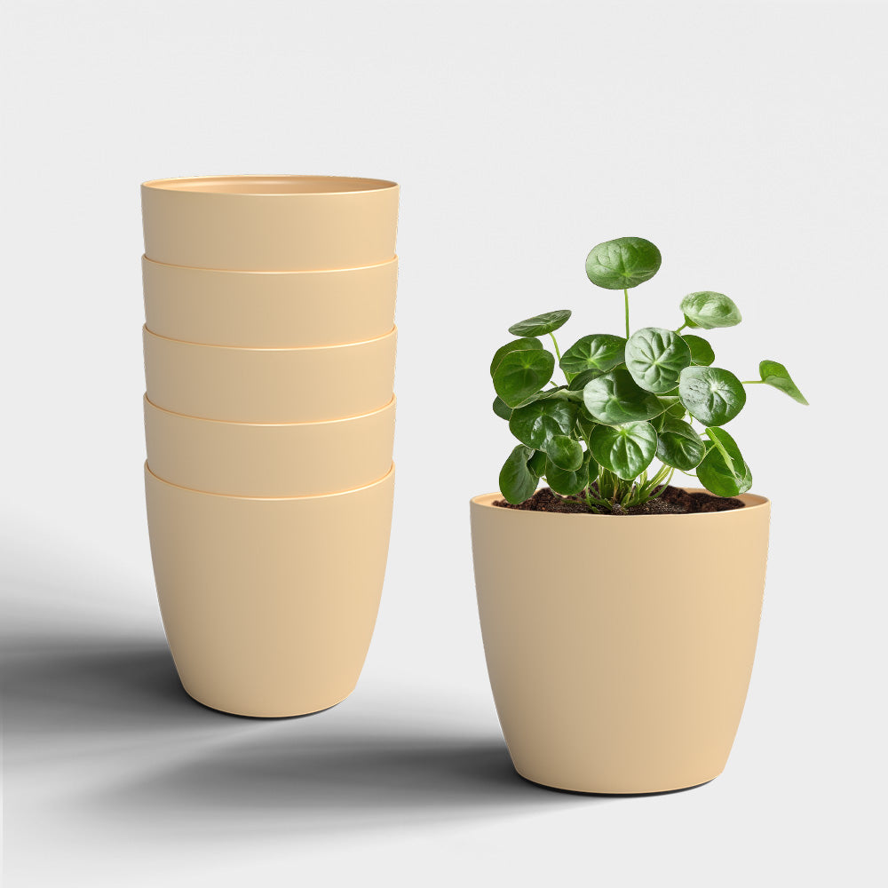 SHERA | STELLA PLANTER
