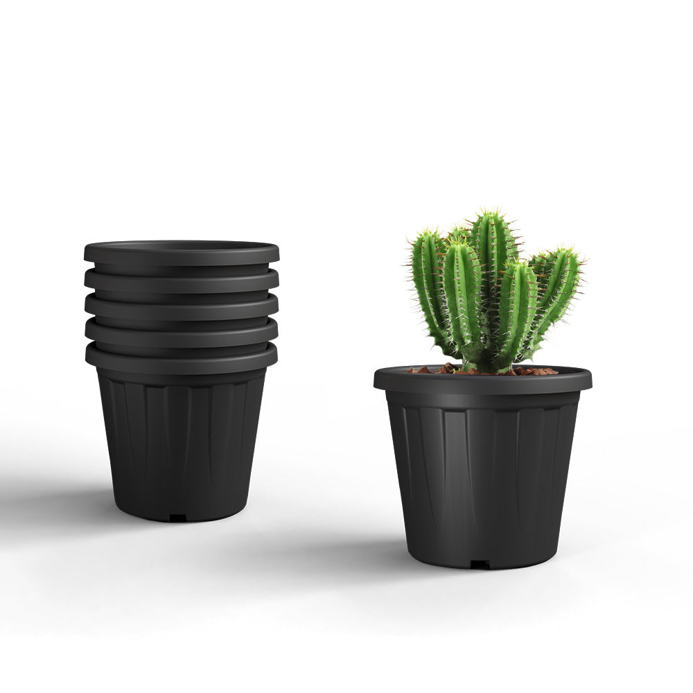 SHERA | CROWN PLANTER