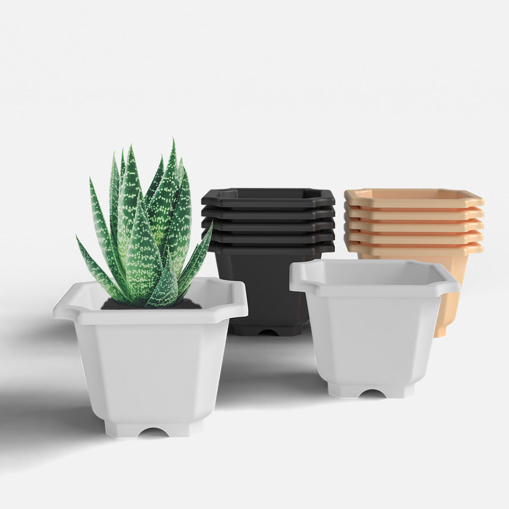 SHERA | OCTA PLANTER SET OF 12